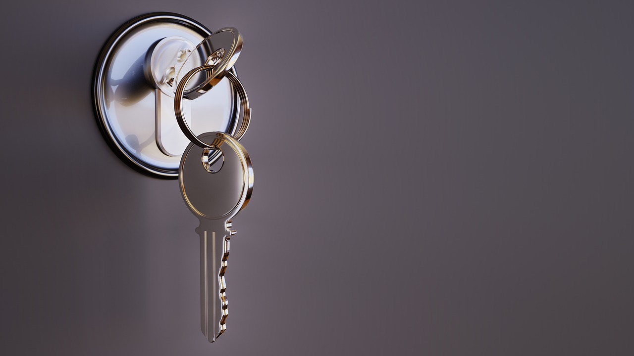 Quelle marque de serrure choisir pour vos portes?